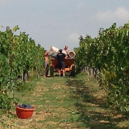 Agriturismo Le Baccane Vinci Exteriér fotografie
