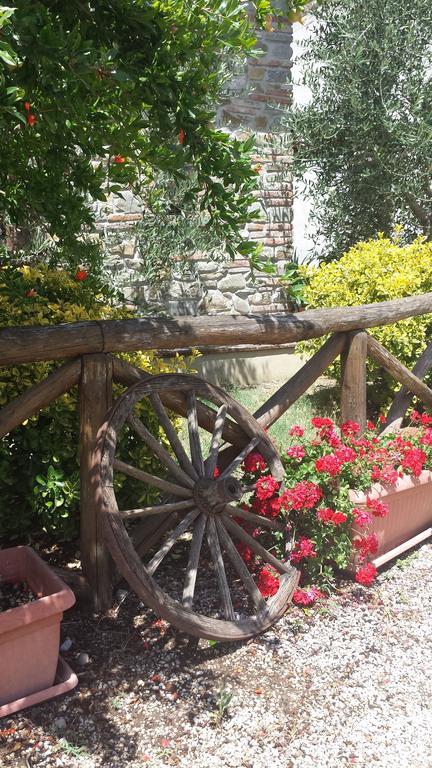 Agriturismo Le Baccane Vinci Exteriér fotografie
