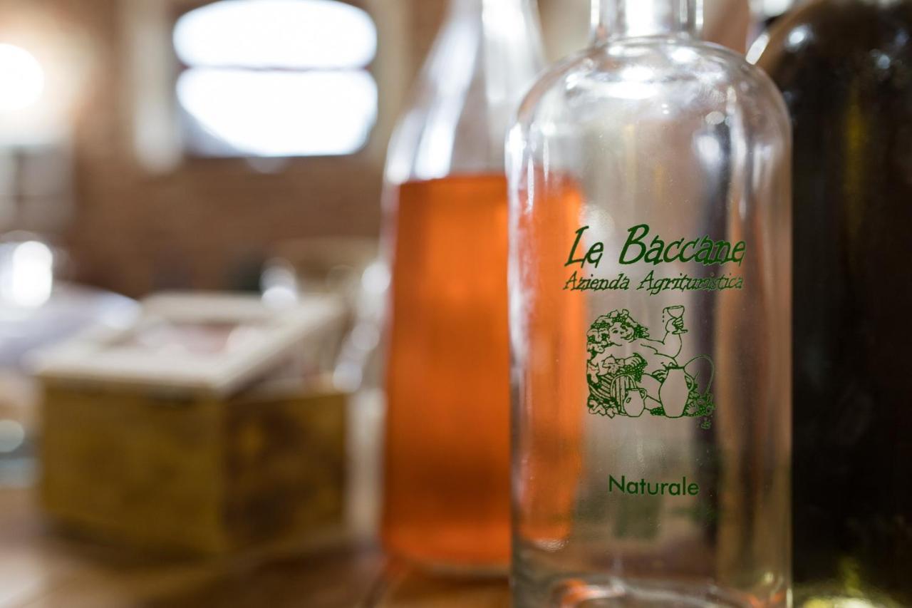Agriturismo Le Baccane Vinci Exteriér fotografie