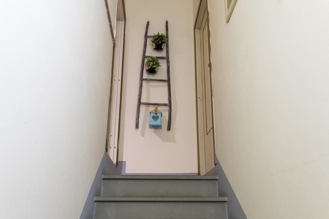 Agriturismo Le Baccane Vinci Exteriér fotografie